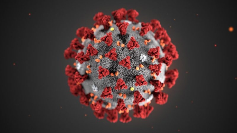 The 5 craziest theories of the appearance of the coronavirus