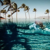 The 50 best wedding photos for 2018 have been selected