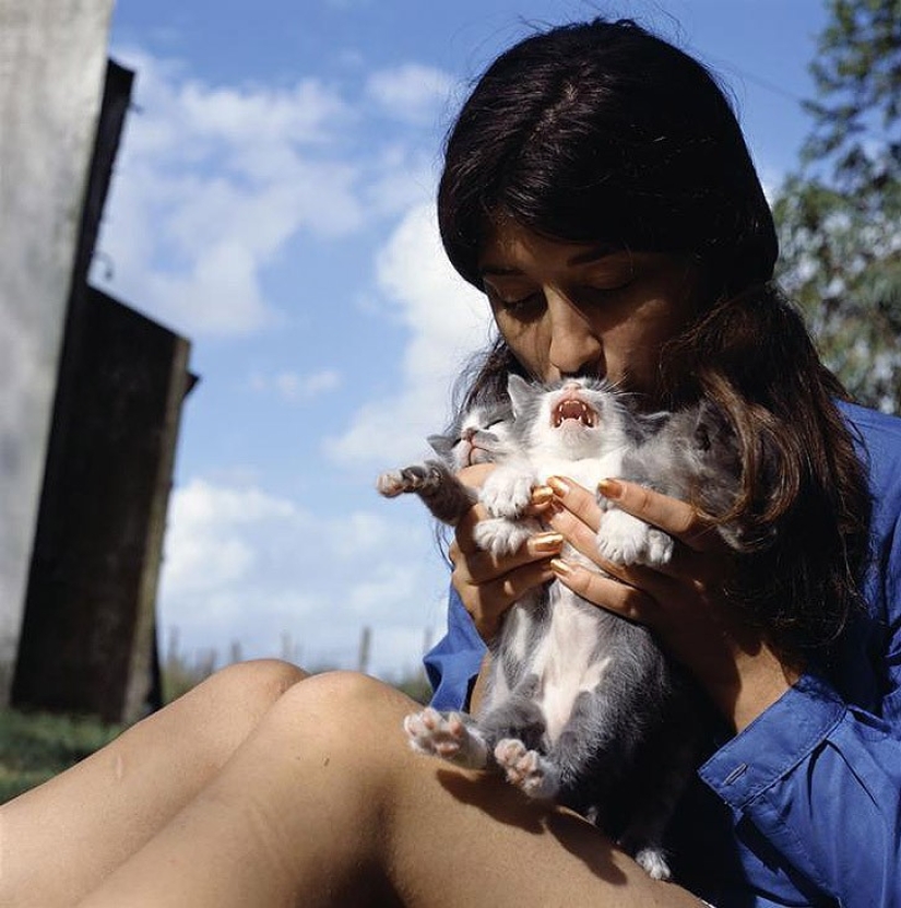 The Adventures of Guillier and Belinda