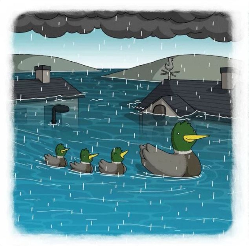 The artist made funny cartoons of proverbs from all over the world, and that's what came out of it