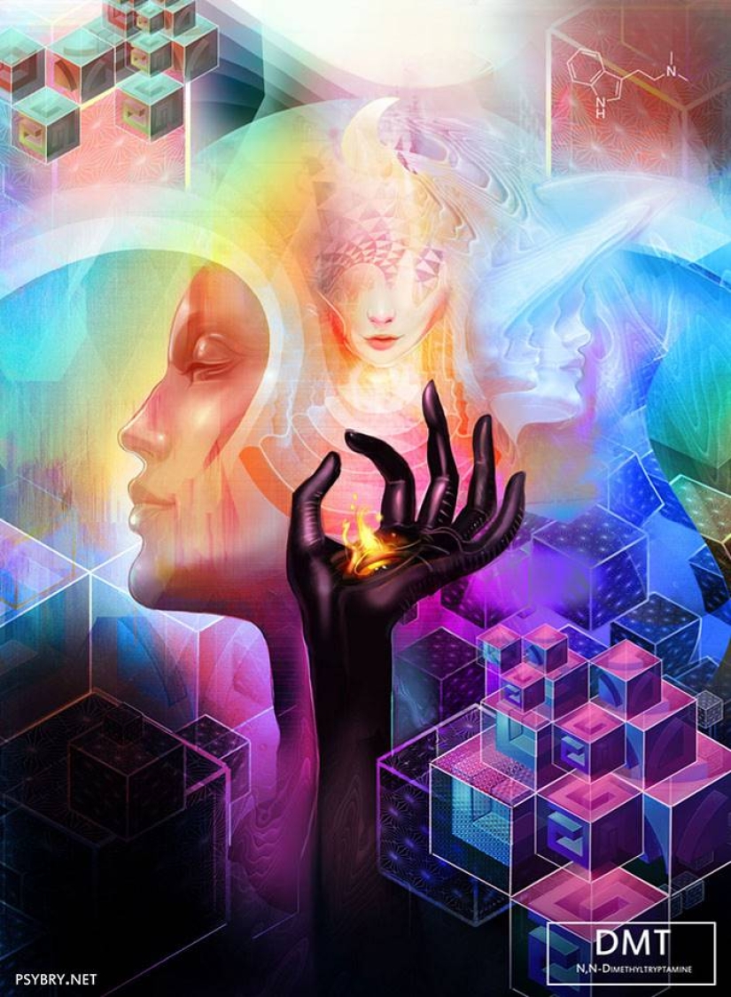 The artist took 20 different drugs to demonstrate the effects of drugs on the human brain