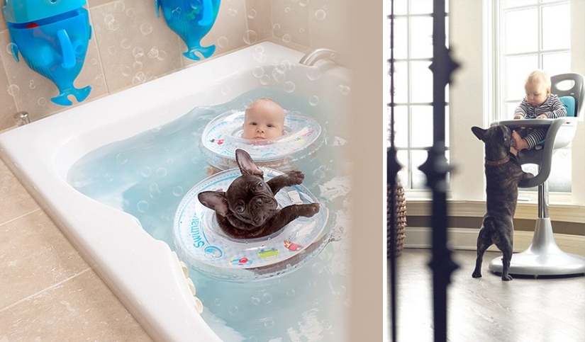 The baby and the puppy were born on the same day and now they think they are brothers The baby and the puppy were born on the same day and now they think they are brothers