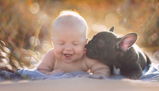 The baby and the puppy were born on the same day and now they think they are brothers The baby and the puppy were born on the same day and now they think they are brothers