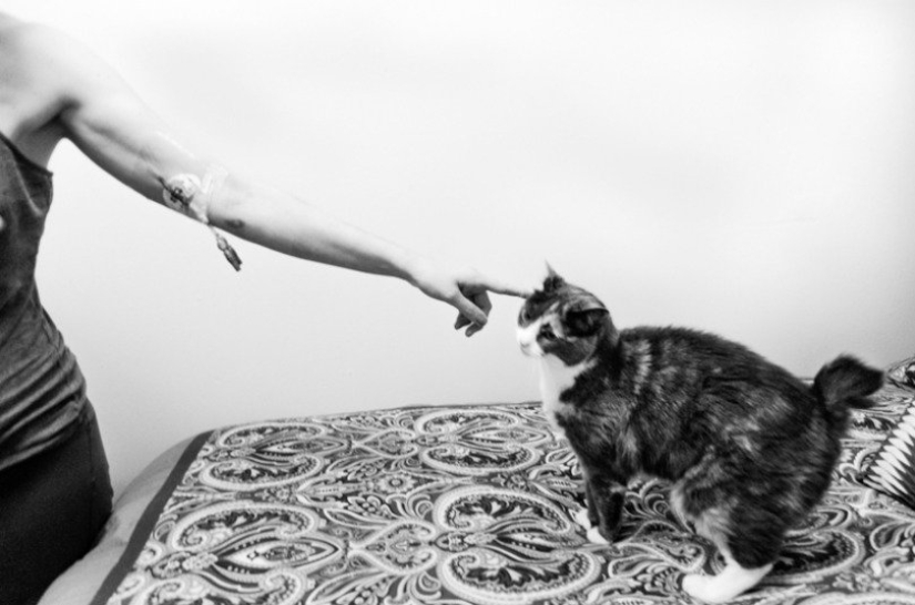 "The battle we didn't choose": an American captured how his wife was dying of cancer