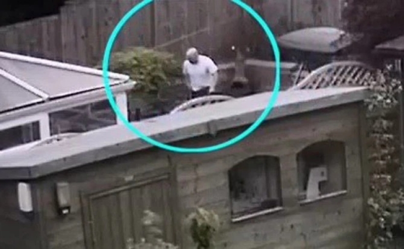 The beast in the cage: serial British maniac sentenced after being released by mistake