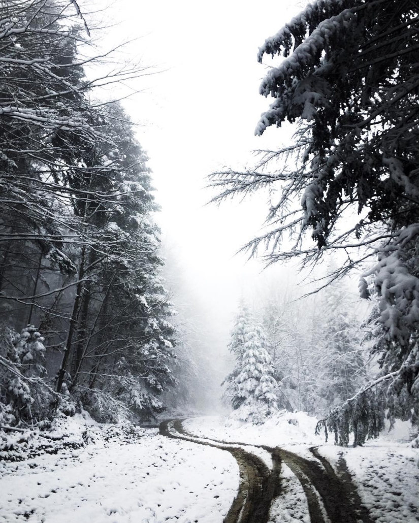 The beauty of the Carpathians from the height of bird flight