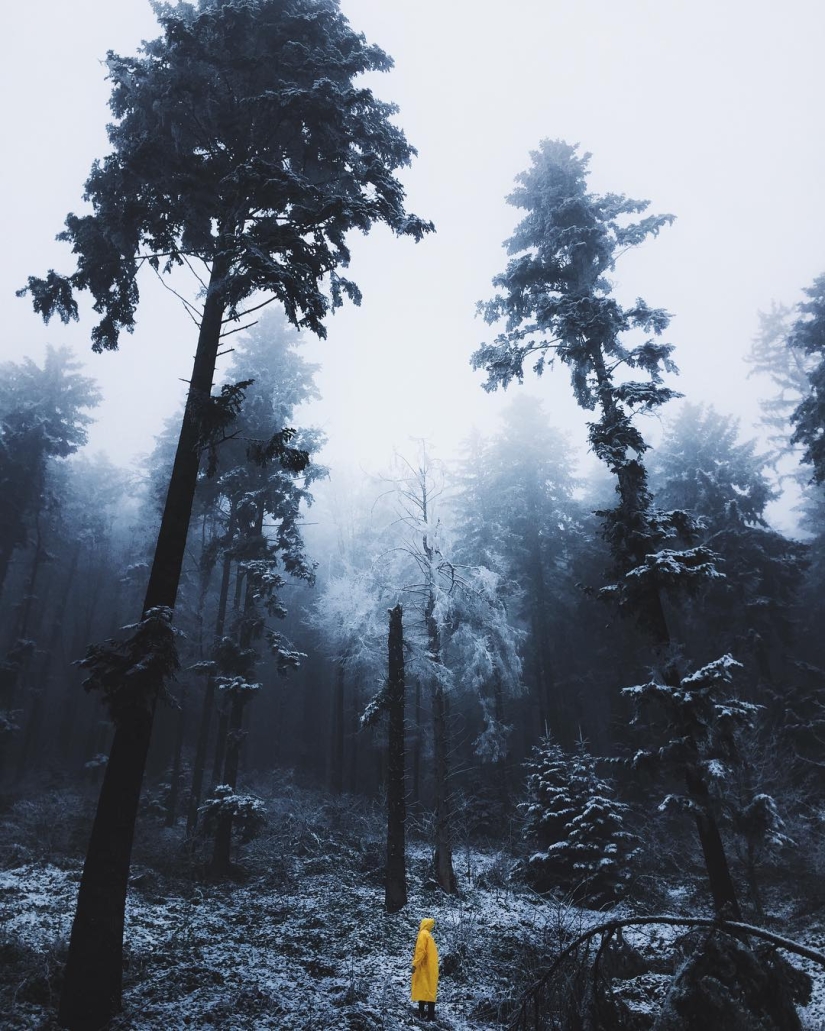 The beauty of the Carpathians from the height of bird flight