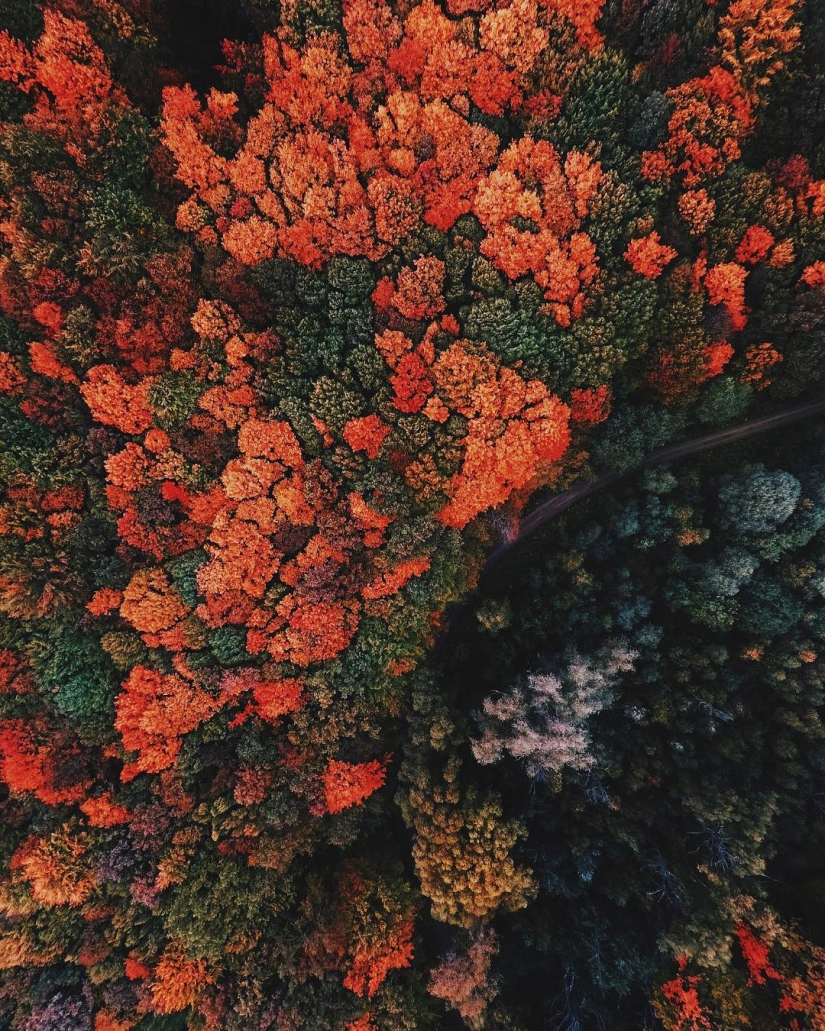 The beauty of the Carpathians from the height of bird flight