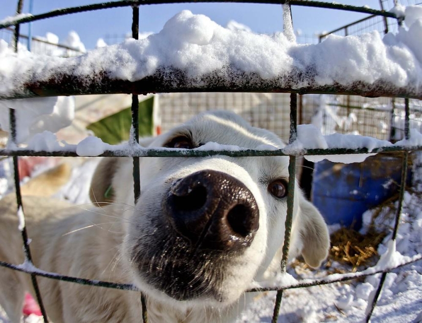 The beauty of winter