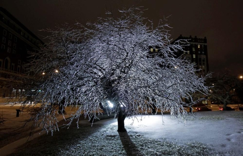 The beauty of winter