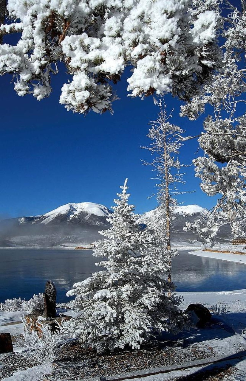 The beauty of winter