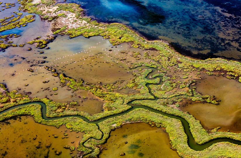 The best bird photos from the Bird Photographer of the Year contest The best bird photos from the Bird Photographer of the Year contest