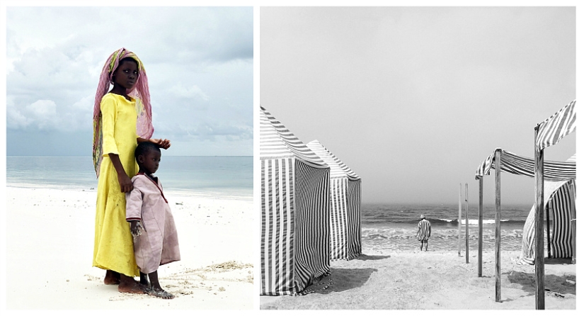 The best mobile photos of the year: the winners of the iPhone Photography Awards 2019 have been announced