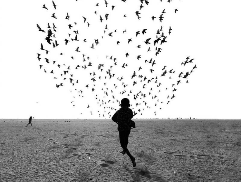 The best mobile photos of the year: the winners of the iPhone Photography Awards 2019 have been announced