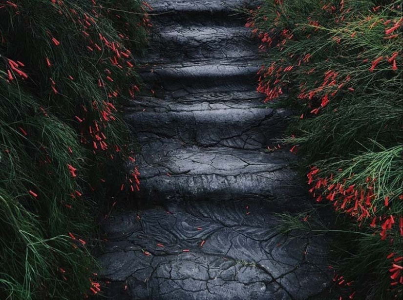 The best mobile photos of the year: the winners of the iPhone Photography Awards 2019 have been announced