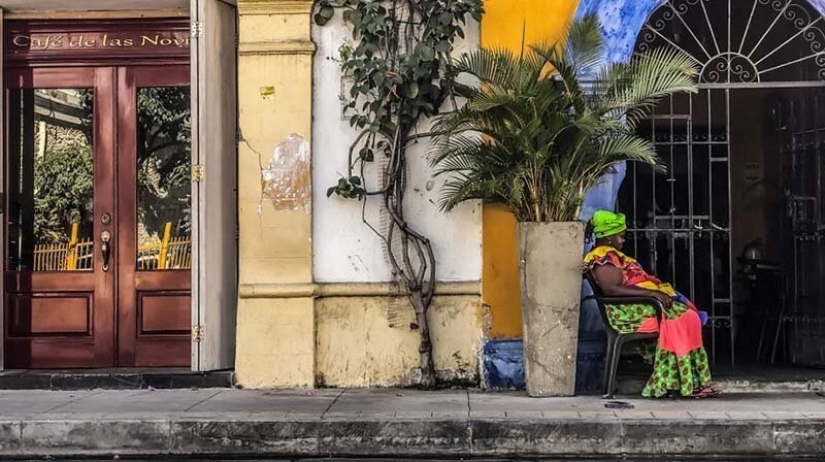 The best mobile photos of the year: the winners of the iPhone Photography Awards 2019 have been announced