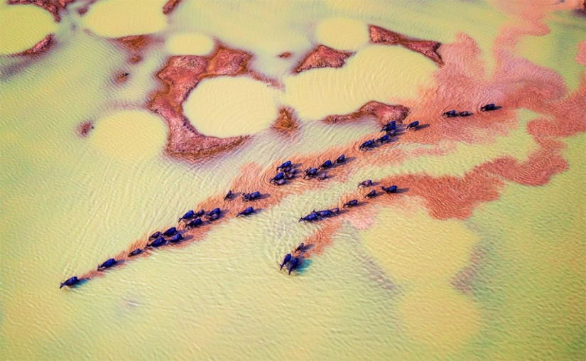 The best photos from the shortlist of the 17th Smithsonian Photo Contest The best photos from the shortlist of the 17th Smithsonian Photo Contest