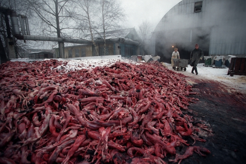 The best photos of Sergey Maksimishin