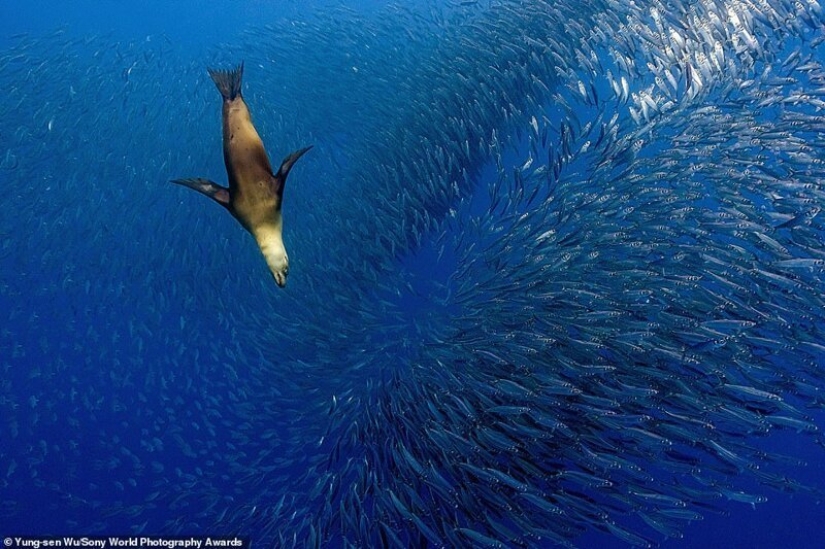 The best pictures from the SPi Street Awards 2018 Street Photography contest The best pictures from the SPi Street Awards 2018 Street Photography contest