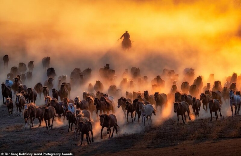 The best pictures from the SPi Street Awards 2018 Street Photography contest The best pictures from the SPi Street Awards 2018 Street Photography contest