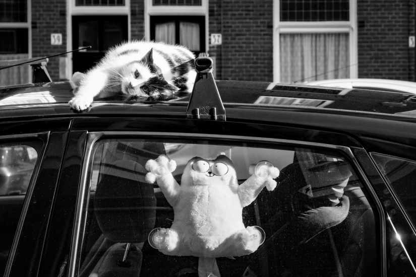 The best pictures from the SPi Street Awards 2018 Street Photography contest The best pictures from the SPi Street Awards 2018 Street Photography contest