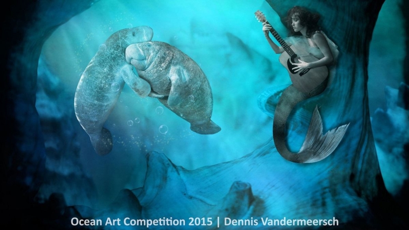 The best underwater photos of 2015 The best underwater photos of 2015