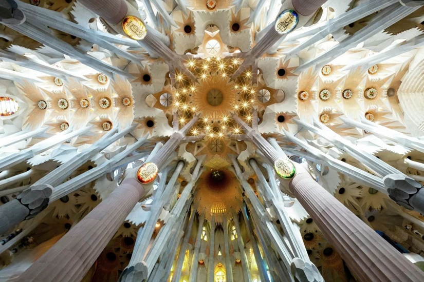 The best works from the final of the Love 2019 photo contest The best works from the final of the Love 2019 photo contest