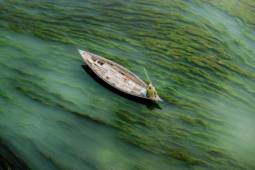 The best works from the final of the Love 2019 photo contest The best works from the final of the Love 2019 photo contest