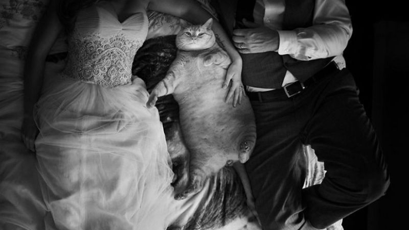 The brightest wedding pictures that will never get into the family album