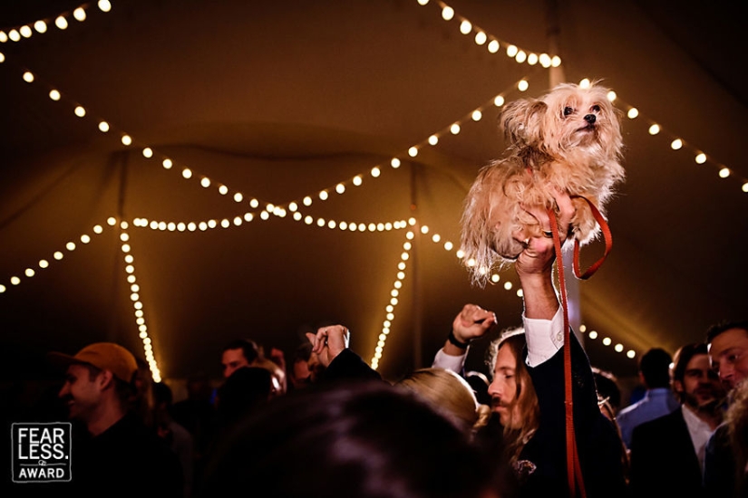 The brightest wedding pictures that will never get into the family album
