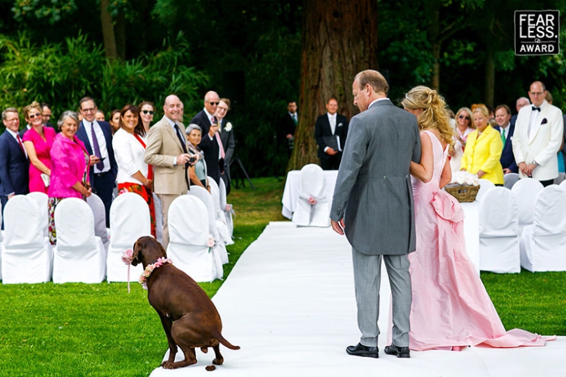 The brightest wedding pictures that will never get into the family album