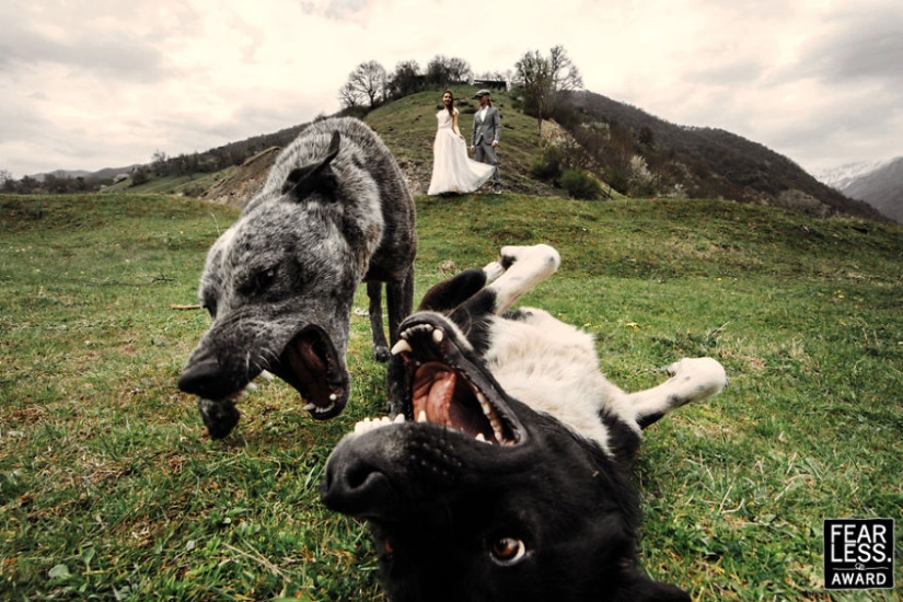 The brightest wedding pictures that will never get into the family album