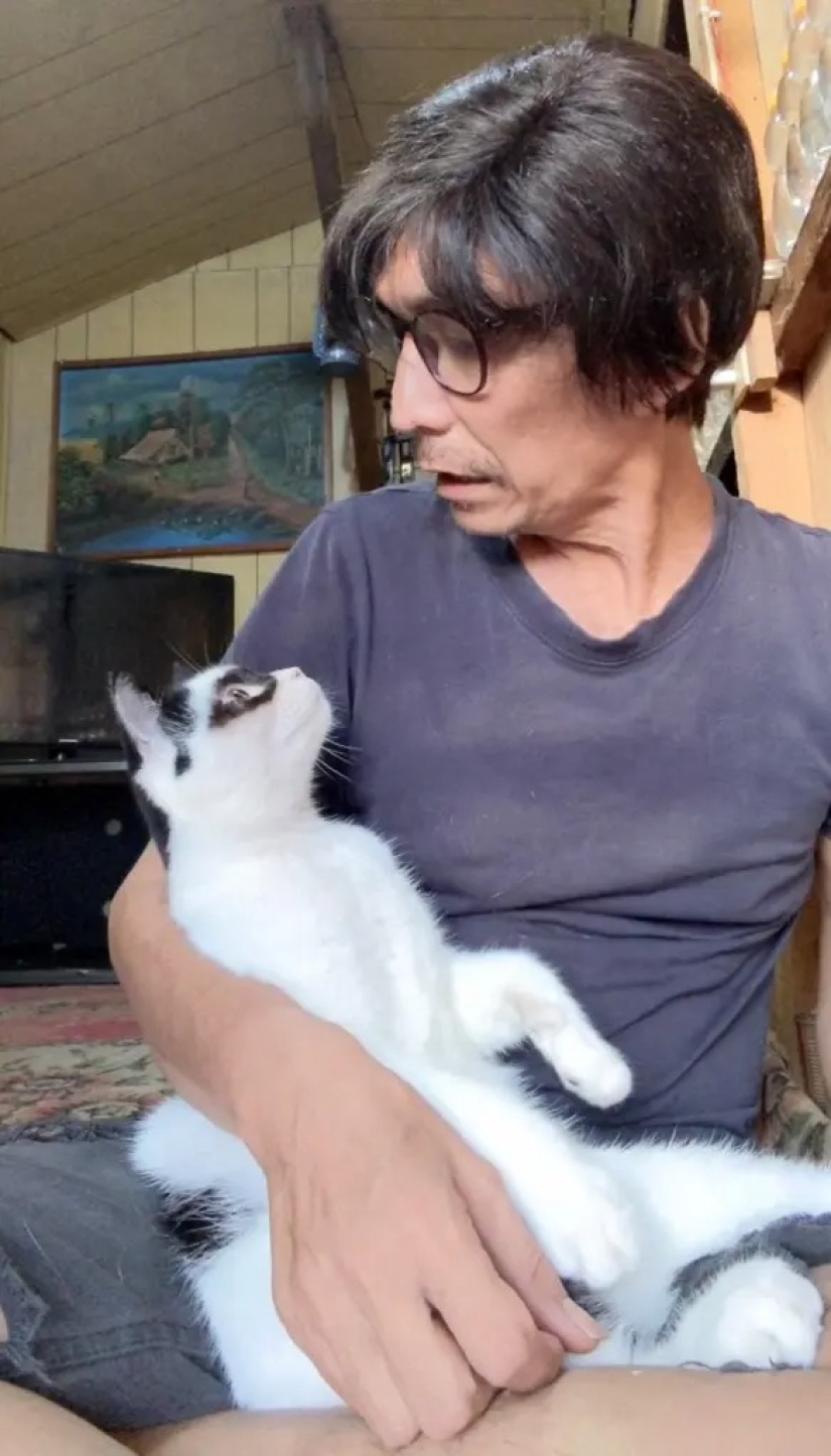 The cat became the star of Tiktok because of his resemblance to Zorro The cat became the star of Tiktok because of his resemblance to Zorro