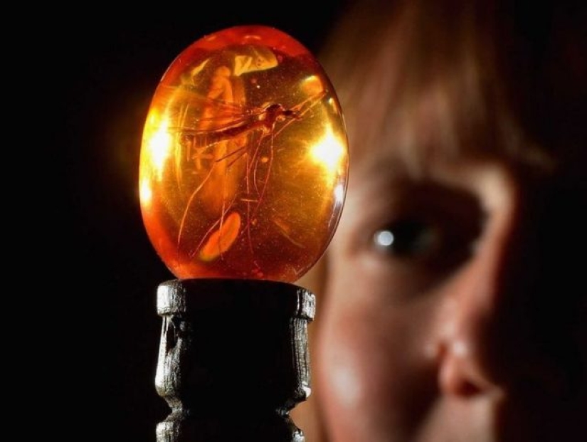 The creators of these films forgot about logic