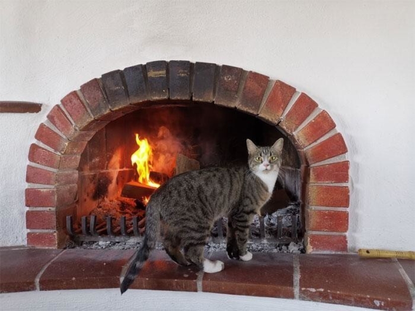 The delights and challenges of life in a medieval castle 1482