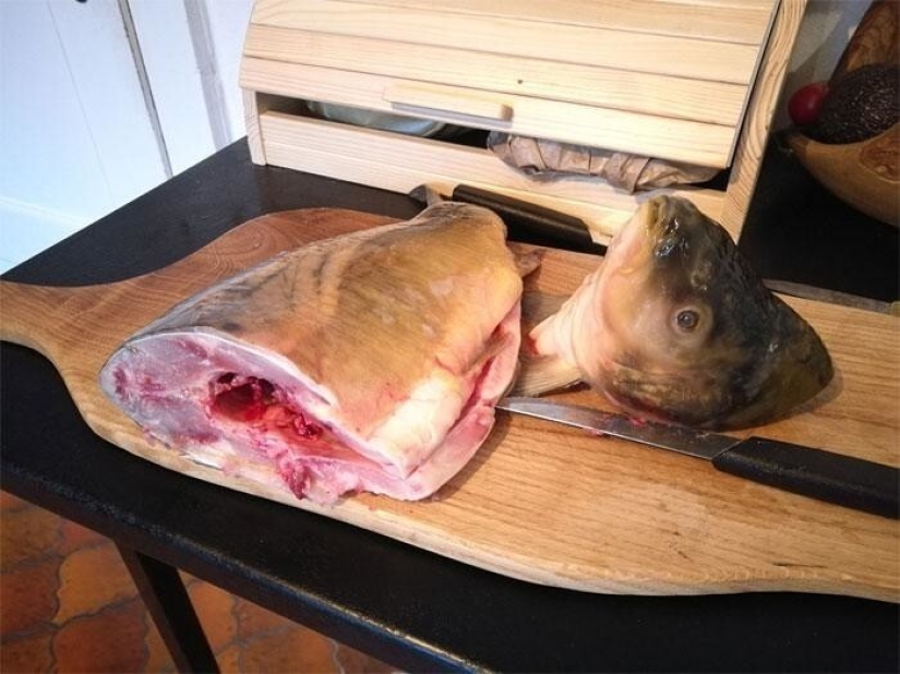 The delights and challenges of life in a medieval castle 1482