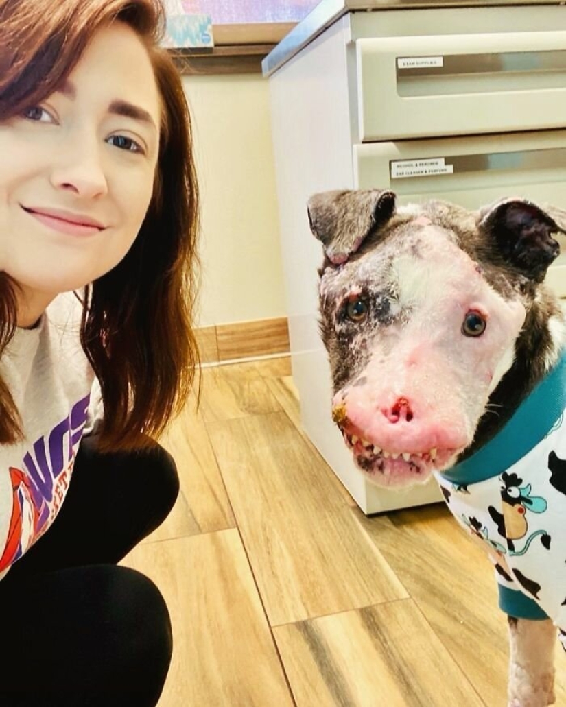 The dog, disfigured by the disease, did not believe happiness when attention was paid to him