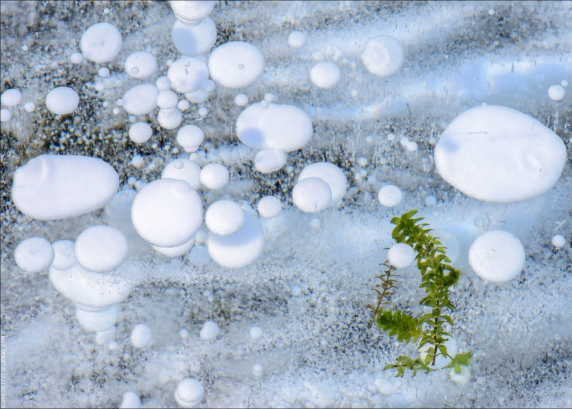 The fairy tale of the icy Baikal — a journey through the Small Sea