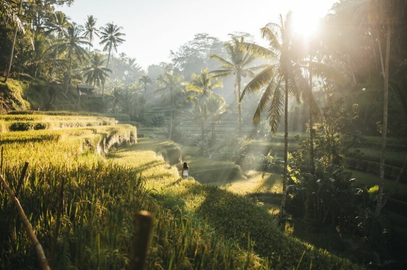 The family sold everything and went on a journey on the old truck