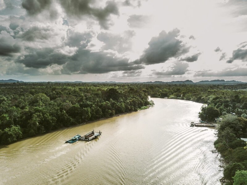 The family sold everything and went on a journey on the old truck
