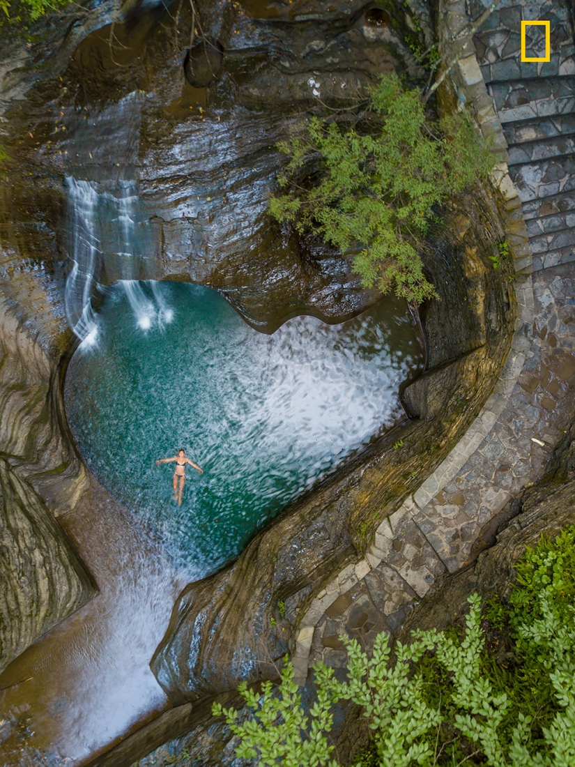 The first works of the National Geographic Nature Photographer Of The Year photo contest have been published The first works of the National Geographic Nature Photographer Of The Year photo contest have been published