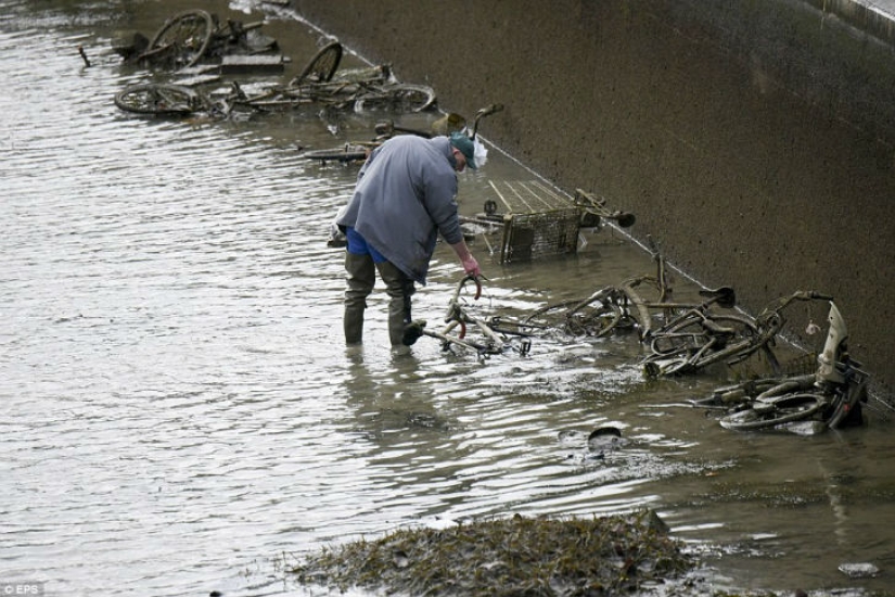 The French drained one of the Parisian canals and found whole treasures at the bottom