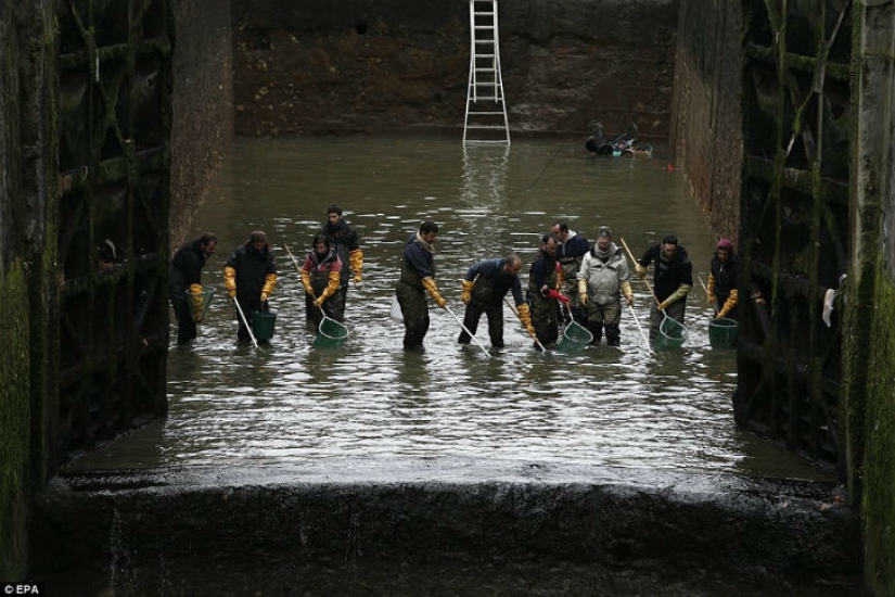 The French drained one of the Parisian canals and found whole treasures at the bottom