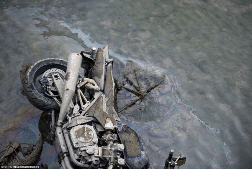 The French drained one of the Parisian canals and found whole treasures at the bottom