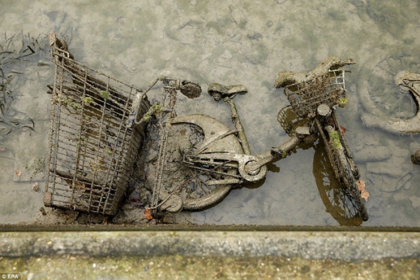 The French drained one of the Parisian canals and found whole treasures at the bottom