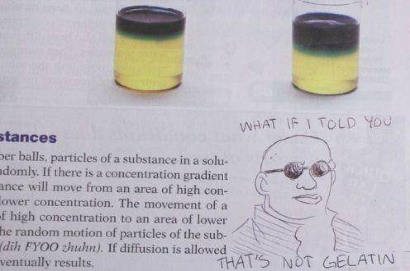 The funniest drawings of deadly bored students and schoolchildren