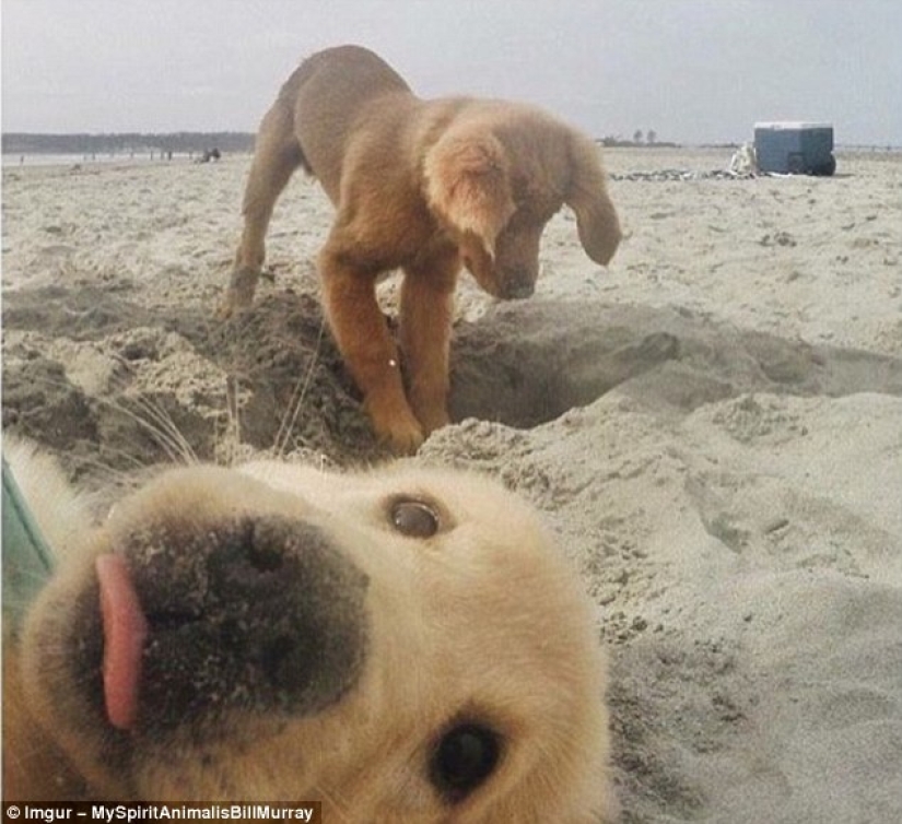 The funniest photobombs in vacation pictures The funniest photobombs in vacation pictures