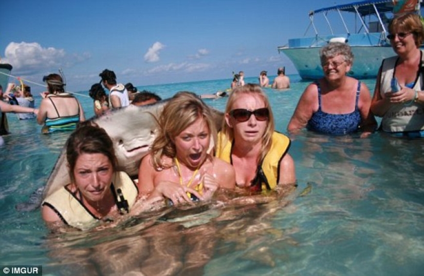 The funniest photobombs in vacation pictures The funniest photobombs in vacation pictures