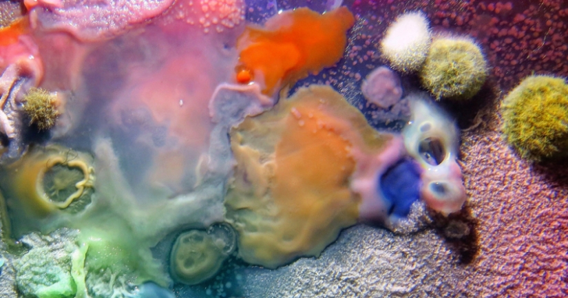 The girl clearly showed the bacterial danger of church icons