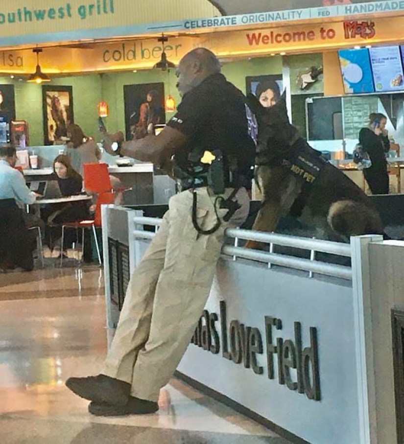 The girl noticed how a policeman at the airport takes a selfie with a service dog The girl noticed how a policeman at the airport takes a selfie with a service dog
